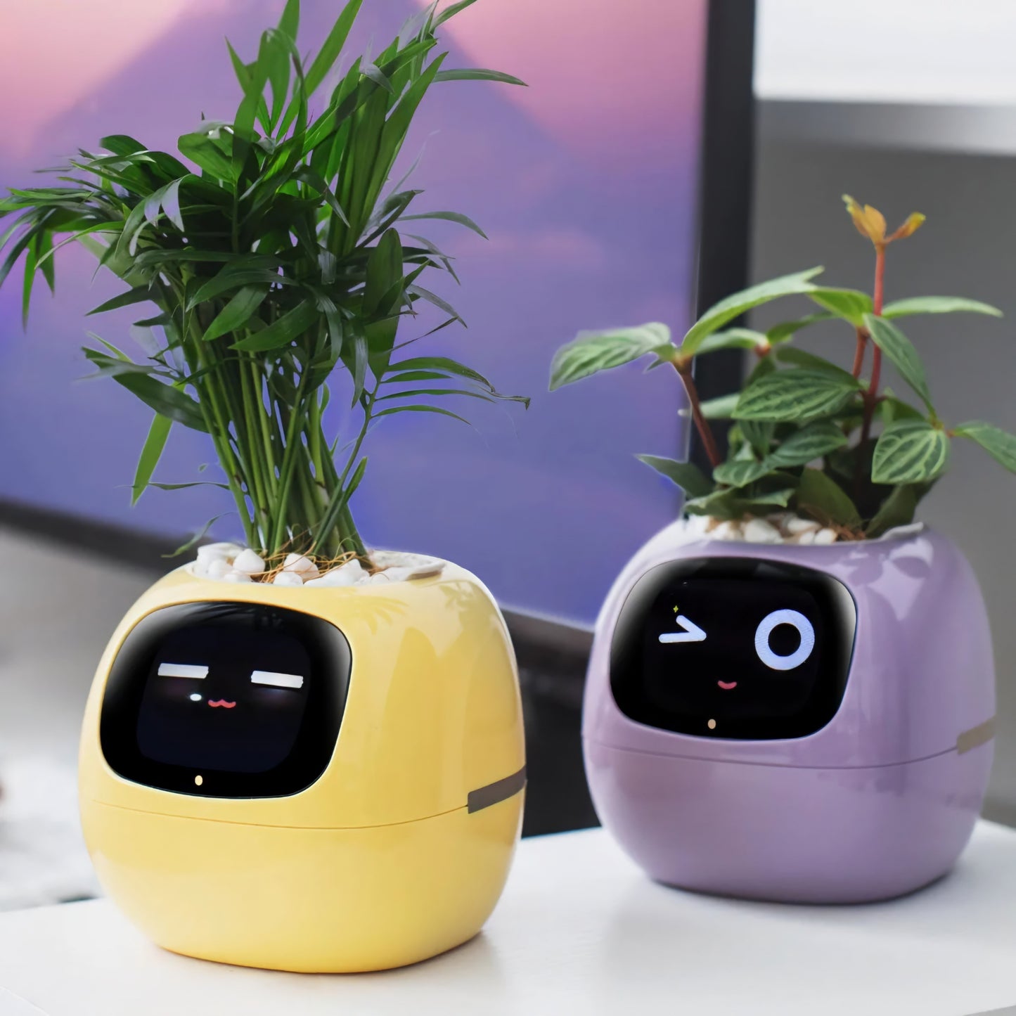 Ivy Smart Planter