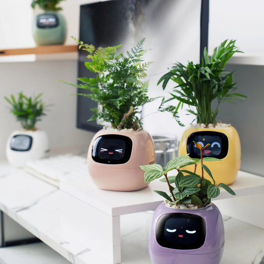 Ivy Smart Planter