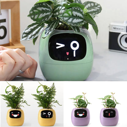 Ivy Smart Planter