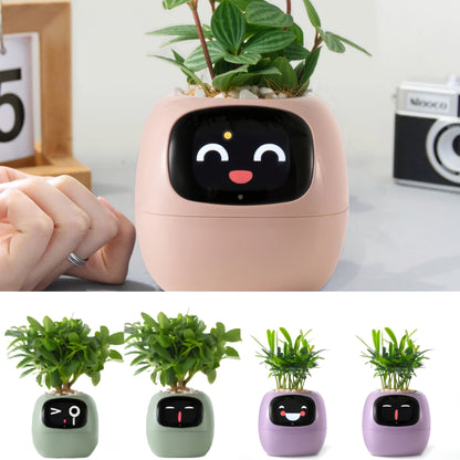 Ivy Smart Planter