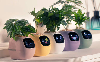 Ivy Smart Planter