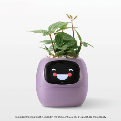 Ivy Smart Planter