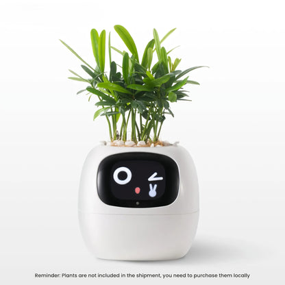 Ivy Smart Planter