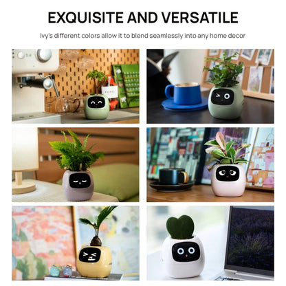 Ivy Smart Planter