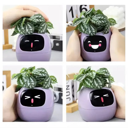 Ivy Smart Planter