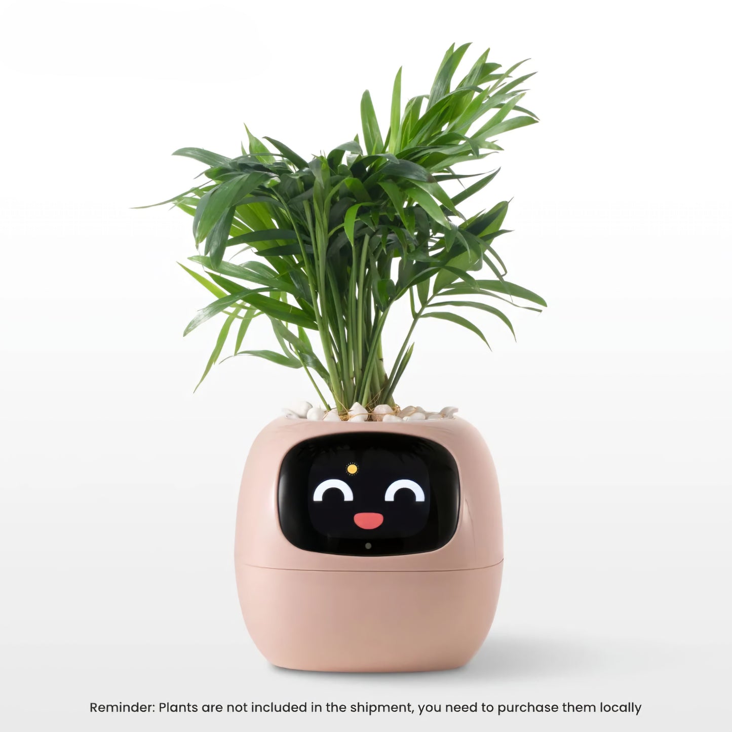 Ivy Smart Planter