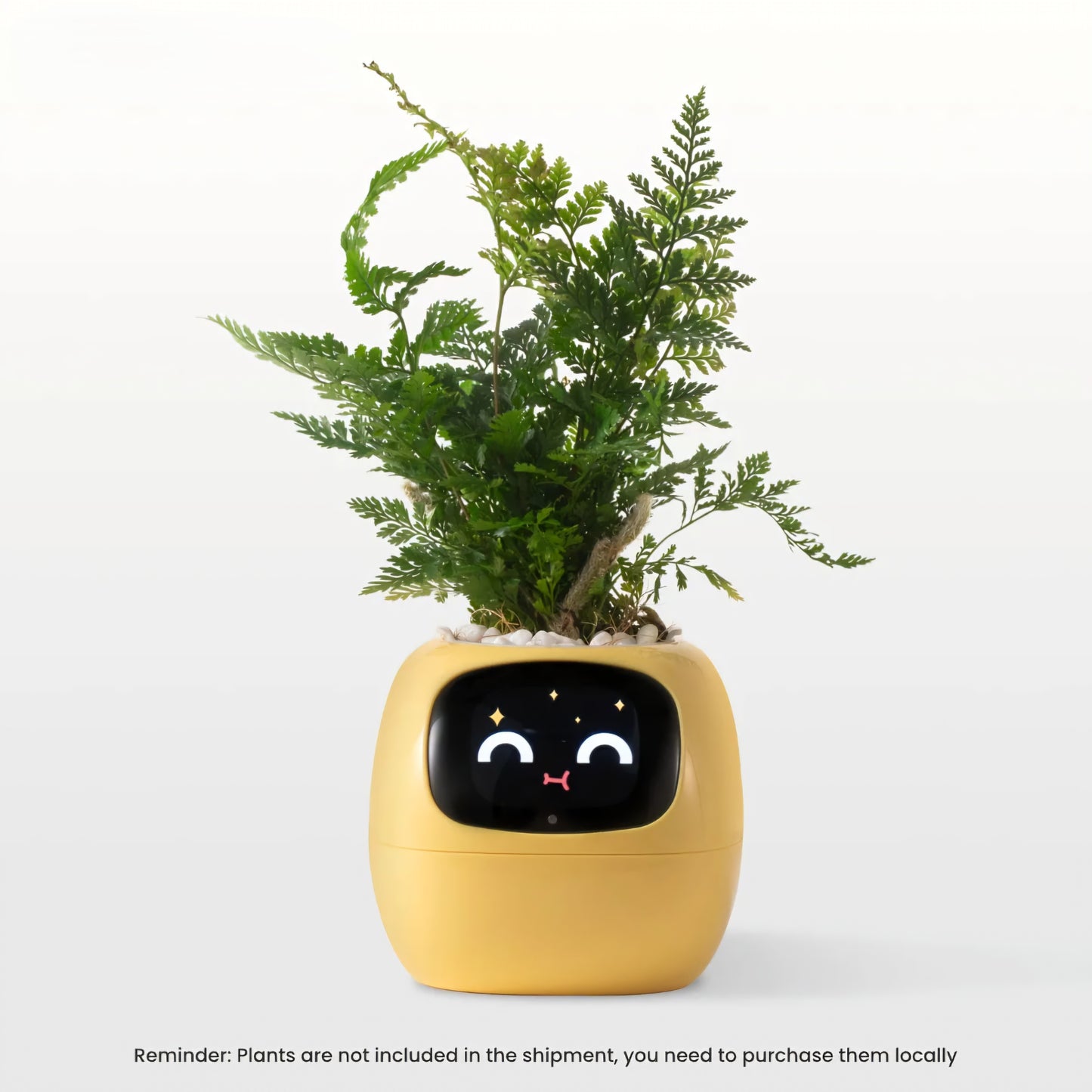 Ivy Smart Planter