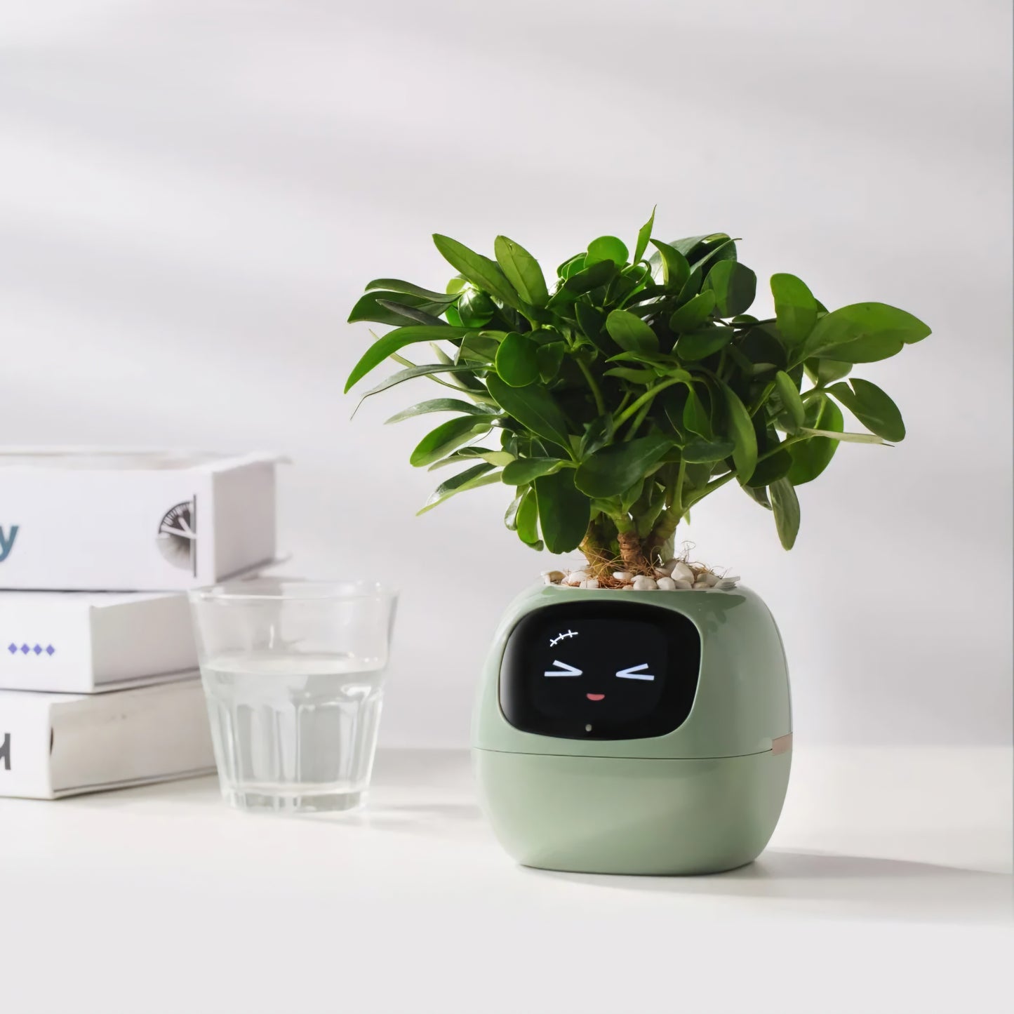 Ivy Smart Planter