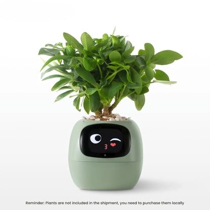 Ivy Smart Planter